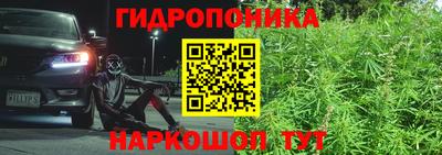 крисы Тула