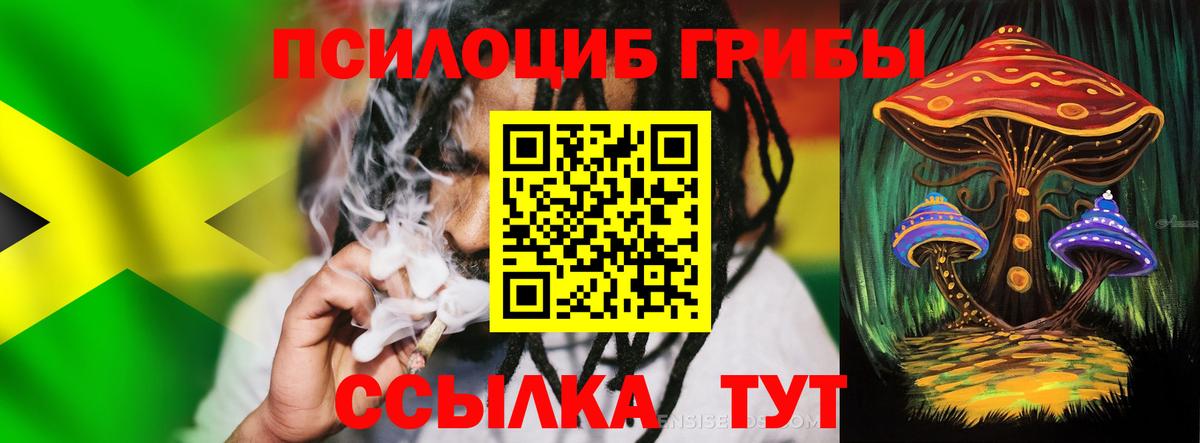 Псилоцибиновые грибы прущие грибы  Вход с VPN  Белгород 